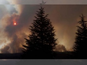 Incendios en Córdoba