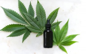 El cannabis medicinal y su oportunidad comercial en  Latinoamérica